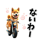 即返信♡バイク好き 豆柴（個別スタンプ：10）
