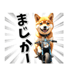 即返信♡バイク好き 豆柴（個別スタンプ：11）