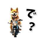 即返信♡バイク好き 豆柴（個別スタンプ：12）
