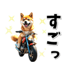即返信♡バイク好き 豆柴（個別スタンプ：13）