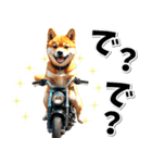 即返信♡バイク好き 豆柴（個別スタンプ：15）