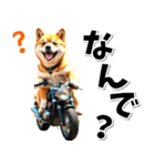 即返信♡バイク好き 豆柴（個別スタンプ：16）