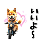 即返信♡バイク好き 豆柴（個別スタンプ：20）