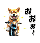 即返信♡バイク好き 豆柴（個別スタンプ：24）