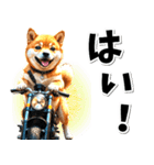 即返信♡バイク好き 豆柴（個別スタンプ：25）