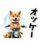 即返信♡バイク好き 豆柴（個別スタンプ：27）