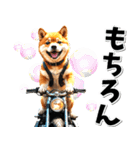 即返信♡バイク好き 豆柴（個別スタンプ：29）