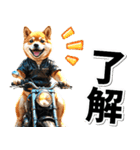 即返信♡バイク好き 豆柴（個別スタンプ：30）