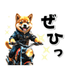 即返信♡バイク好き 豆柴（個別スタンプ：31）