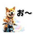 即返信♡バイク好き 豆柴（個別スタンプ：32）