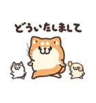 ボンレス犬 2（個別スタンプ：11）