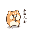 ボンレス犬 2（個別スタンプ：13）