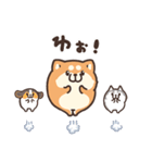 ボンレス犬 2（個別スタンプ：19）