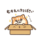 ボンレス犬 2（個別スタンプ：33）