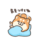 ボンレス犬 2（個別スタンプ：40）