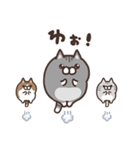 ボンレス猫 2（個別スタンプ：19）