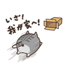 ボンレス猫 2（個別スタンプ：39）