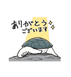 動く！カメユの亀スタンプ（個別スタンプ：4）