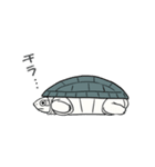 動く！カメユの亀スタンプ（個別スタンプ：18）