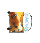 チョコ様＆ららちゃんのスタンプ 2（個別スタンプ：6）