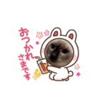あずき＆くるみのスタンプ2（個別スタンプ：2）