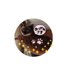 あずき＆くるみのスタンプ2（個別スタンプ：7）