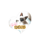 あずき＆くるみのスタンプ2（個別スタンプ：14）