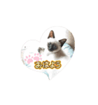 あずき＆くるみのスタンプpart2（個別スタンプ：2）