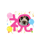あずき＆くるみのスタンプpart2（個別スタンプ：4）