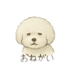 ビションフリーゼのふわふわ可愛いスタンプ（個別スタンプ：6）