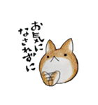 むぎときなこ 9（個別スタンプ：4）