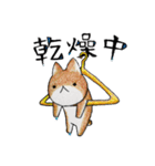 むぎときなこ 9（個別スタンプ：17）