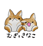むぎときなこ 9（個別スタンプ：24）