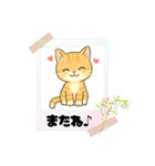 子猫のライチくん（個別スタンプ：19）