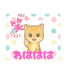 子猫のライチくん（個別スタンプ：22）
