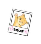 子猫のライチくん（個別スタンプ：33）