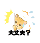 子猫のライチくん（個別スタンプ：34）