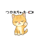 子猫のライチくん（個別スタンプ：36）
