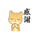 子猫のライチくん（個別スタンプ：38）