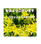 梅雨どきの山野草たちで ご挨拶（個別スタンプ：2）