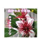 梅雨どきの山野草たちで ご挨拶（個別スタンプ：30）
