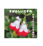梅雨どきの山野草たちで ご挨拶（個別スタンプ：34）
