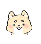 しばいぬのごんじろう（個別スタンプ：8）
