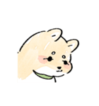 しばいぬのごんじろう（個別スタンプ：21）