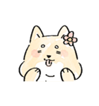 しばいぬのごんじろう（個別スタンプ：31）