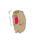 いろいろマーモットさん（個別スタンプ：4）