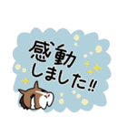 【大きい文字】ウマの毎日（個別スタンプ：33）