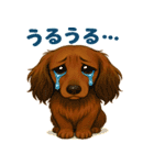 3可愛いカニンヘンダックスフンドスタンプ（個別スタンプ：21）