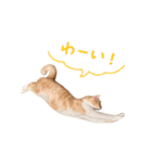 おことらスタンプ（個別スタンプ：2）