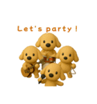ティッシュケース犬 ポチ 3DCG風（個別スタンプ：12）